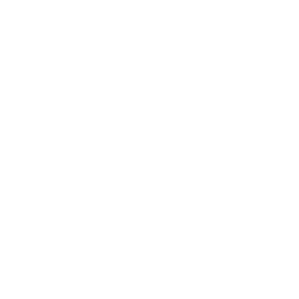 fortis logo transparent