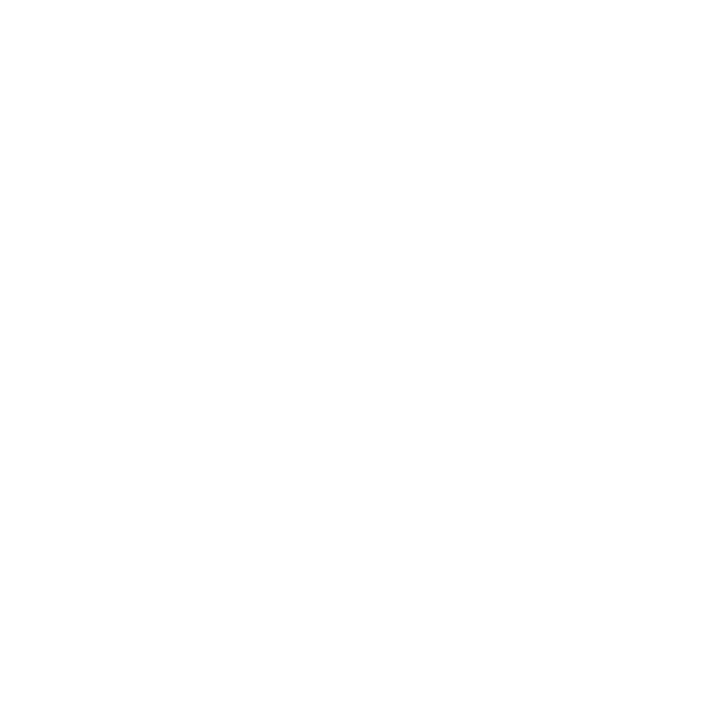 skyzone logo transparent
