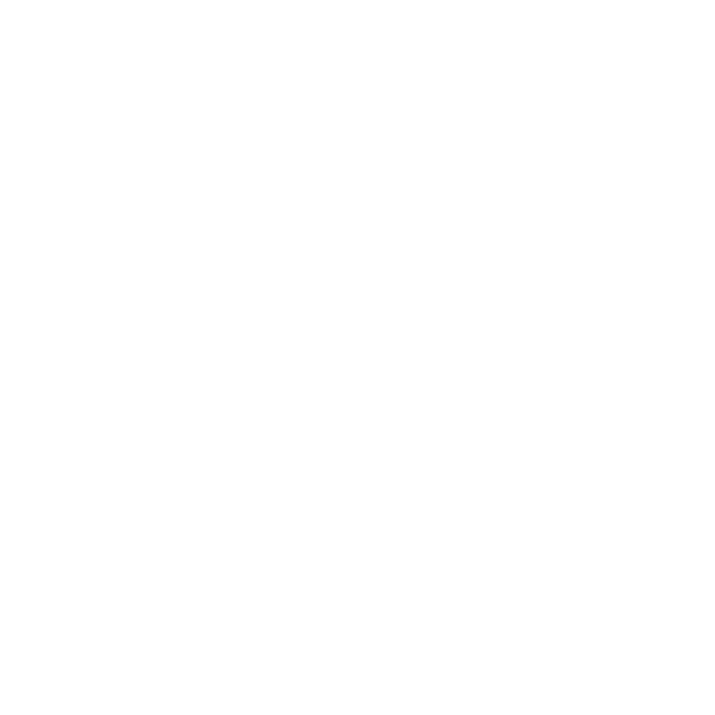 vinayak ingredients Logo transparent